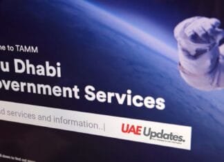 Everything You Need to Know About TAMM Abu Dhabi Services and Support TAMM Abu Dhabi